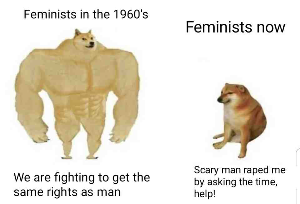 Feminists in the 1960s: We are fighting to get the same rights as man. Feminists now: Scary man raped me by asking the time, help!