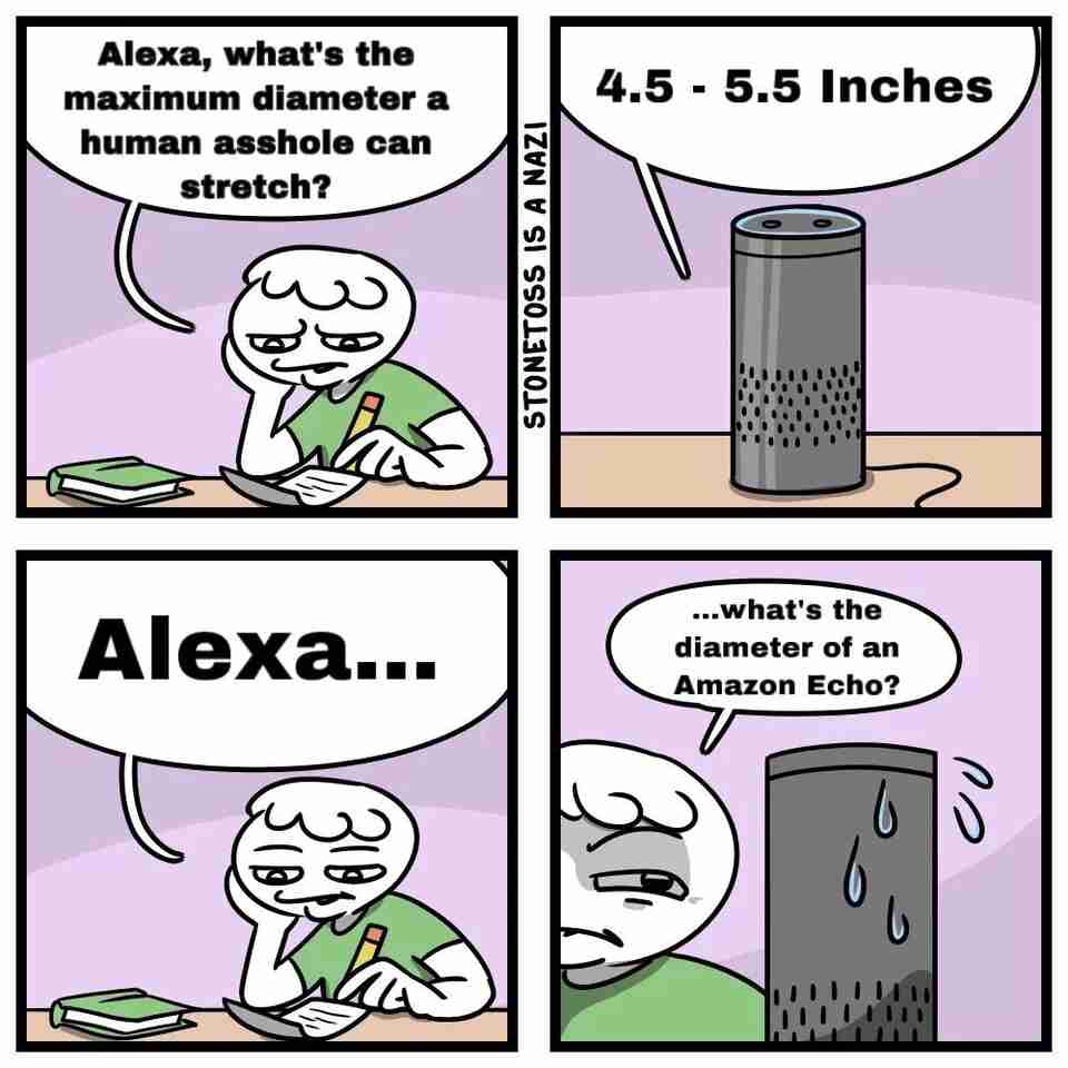 Alexa, what's the maximum diameter a human asshole can stretch? 4.5-5.5 inches. Alex...what's the diameter of an Amazon Echo? (Alexa sweating)