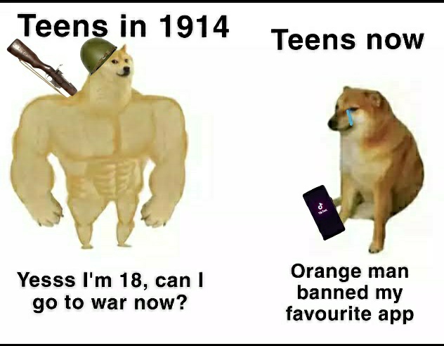 Teens in 1914: Yesss I'm 18, can I go to war now? Teens now: (holding a phone with TikTok on it) Orange man banned my favourite app